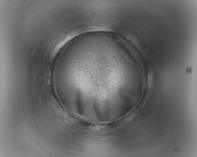 X0000113571165200910091432