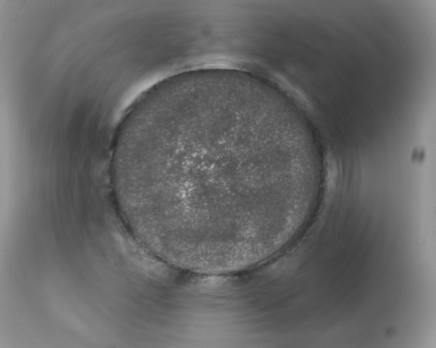 X0000113571166200910091432