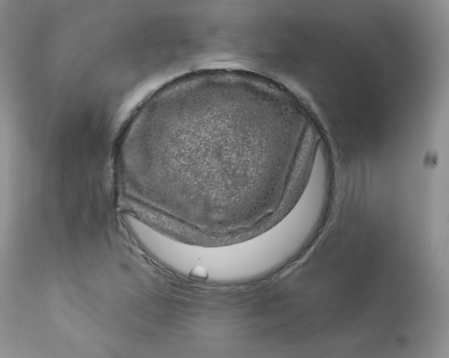 X0000113571167200910091432