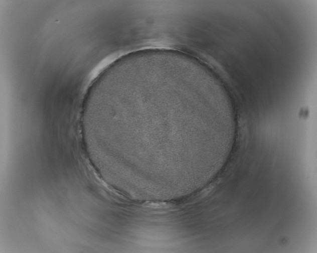 X0000113571168200910091432