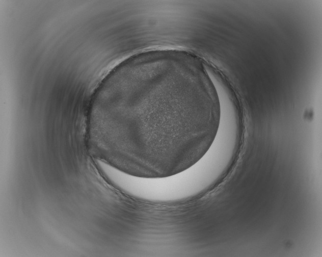 X0000113571169200910091432