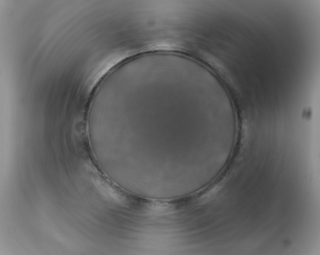 X0000113571170200910091432