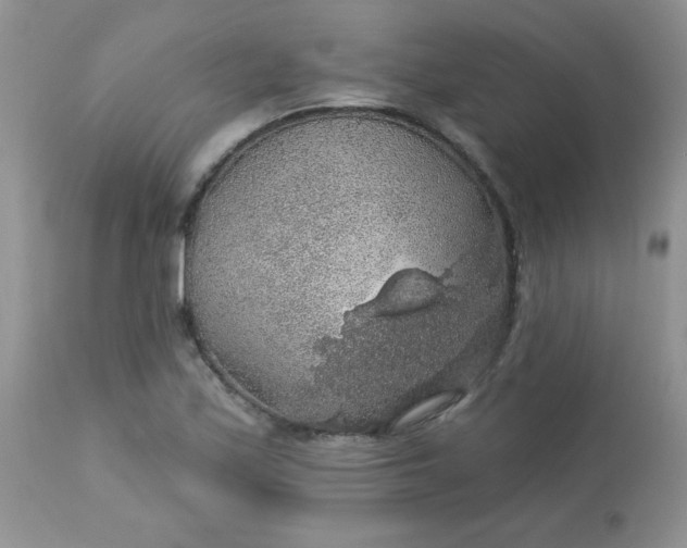 X0000113571171200910091432