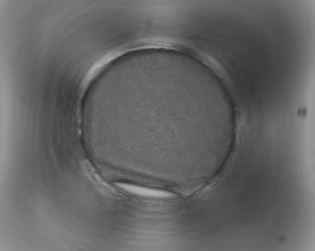 X0000113571172200910091432