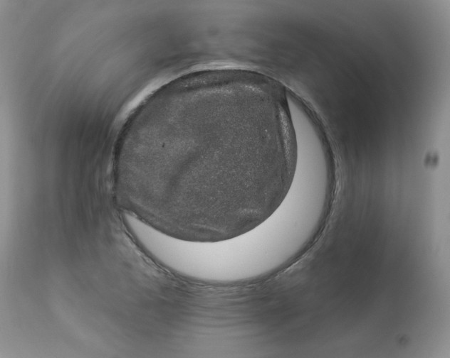 X0000113571173200910091432