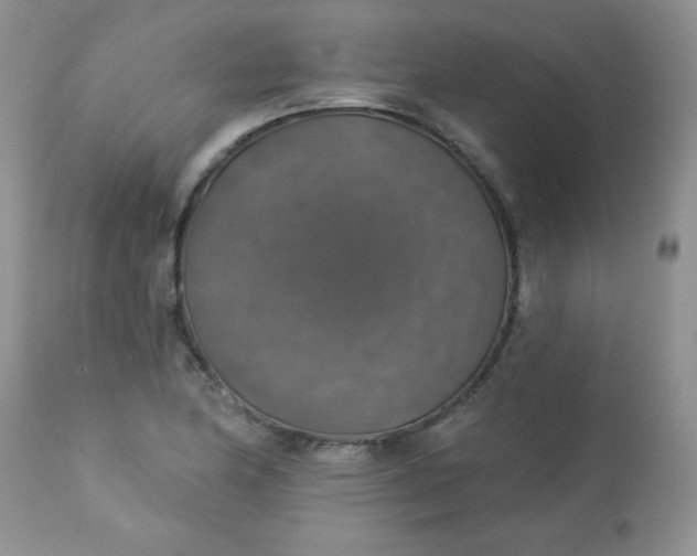 X0000113571174200910091432