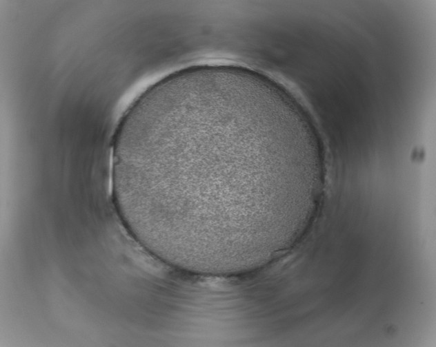 X0000113571175200910091432