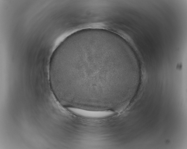 X0000113571176200910091432