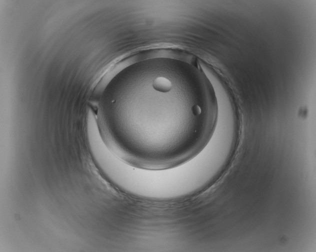 X0000113571177200910091432