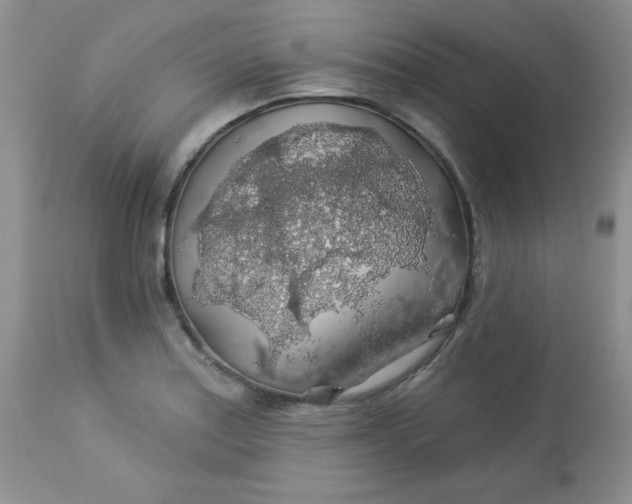 X0000113571179200910091432