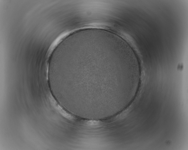 X0000113571180200910091432