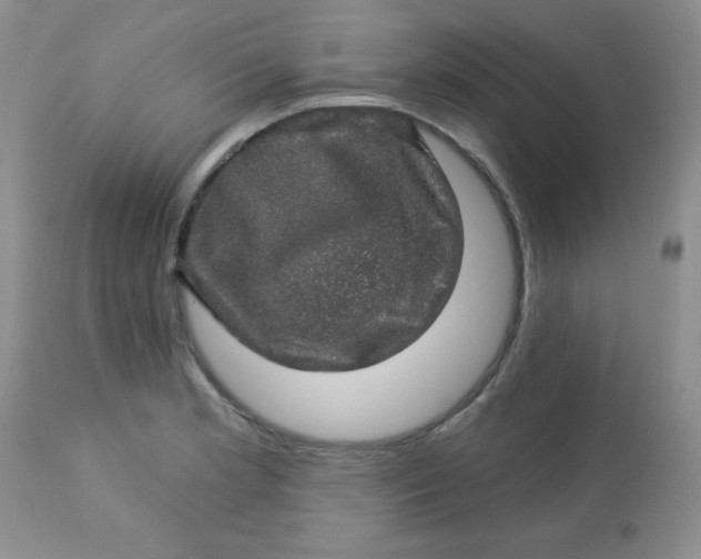 X0000113571181200910091432