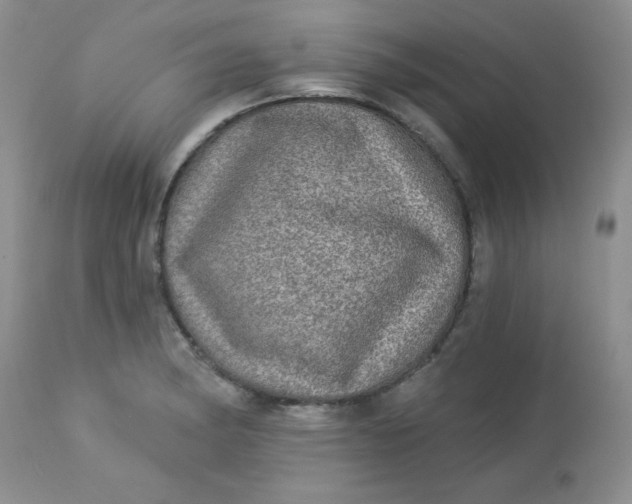 X0000113571182200910091432