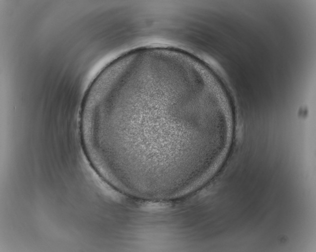 X0000113571183200910091432