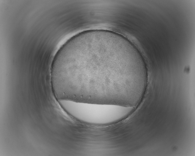 X0000113571184200910091432