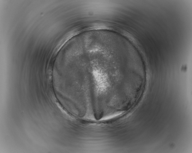 X0000113571185200910091432