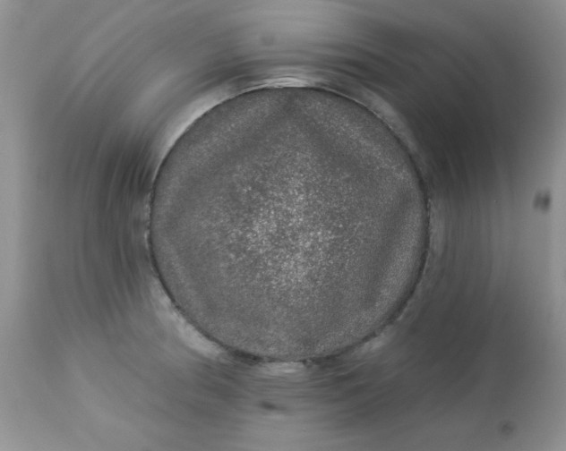 X0000113571186200910091432