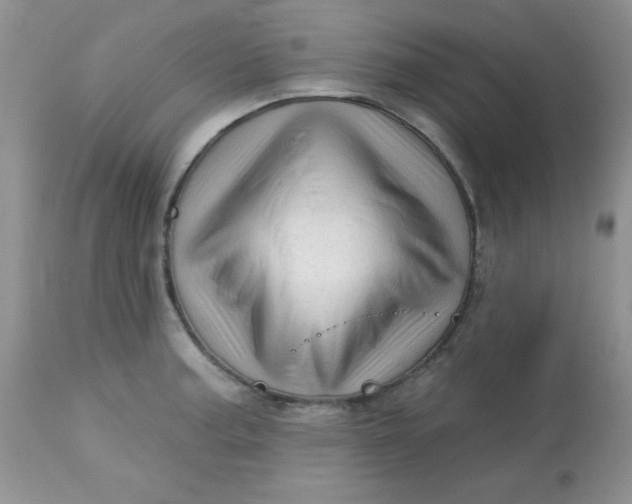 X0000113571187200910091432