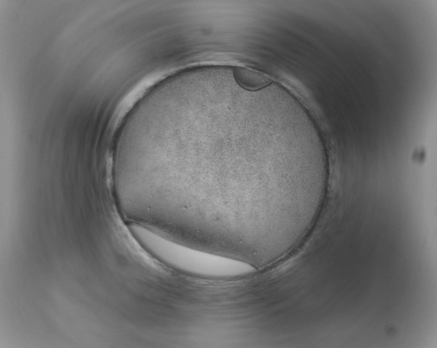 X0000113571188200910091432