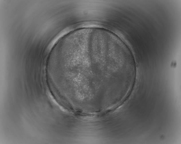 X0000113571189200910091432