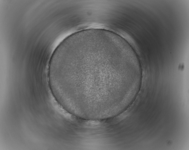 X0000113571190200910091432