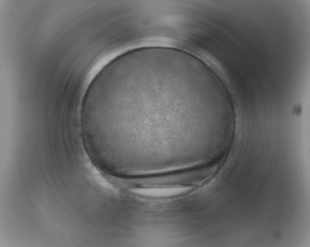 X0000113571192200910091432