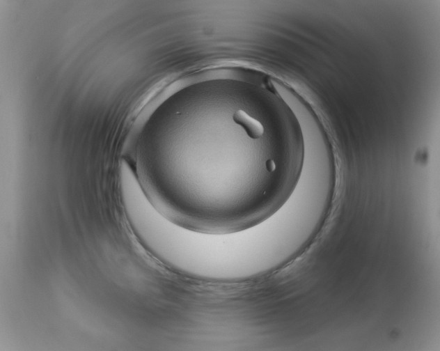 X0000113571193200910091432