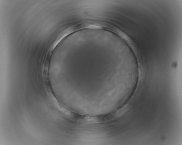 X0000113571194200910091432