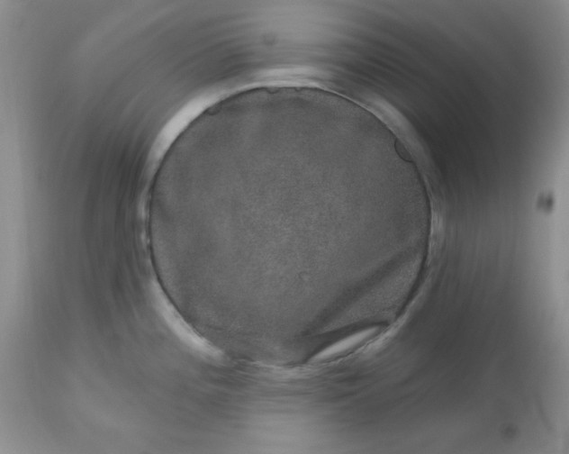 X0000113571196200910091432