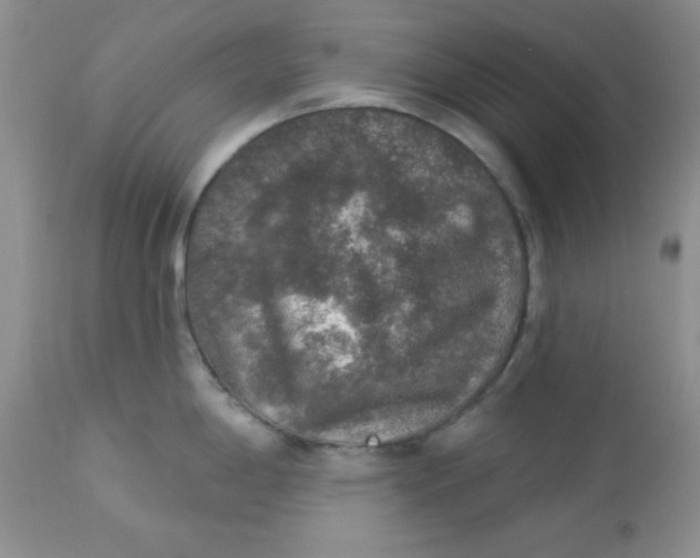 X0000113571198200910091432