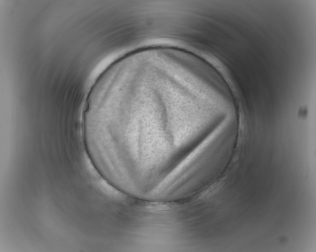 X0000113571199200910091432