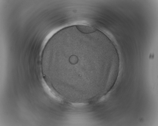 X0000113571200200910091432