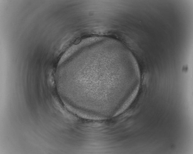 X0000113571202200910091431