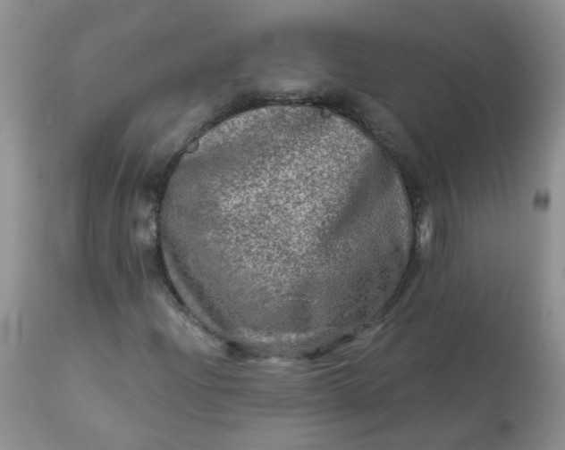 X0000113571204200910091431