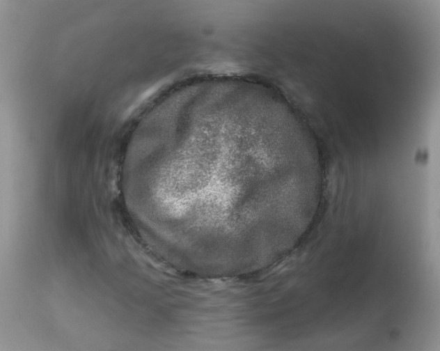 X0000113571205200910091431