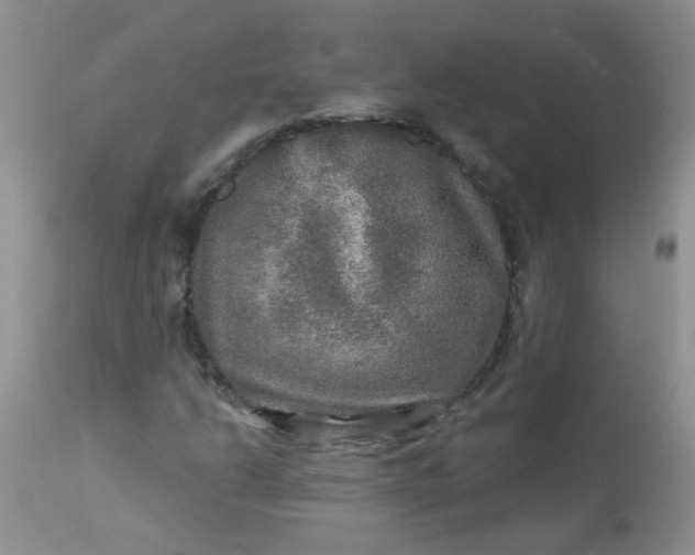 X0000113571206200910091431