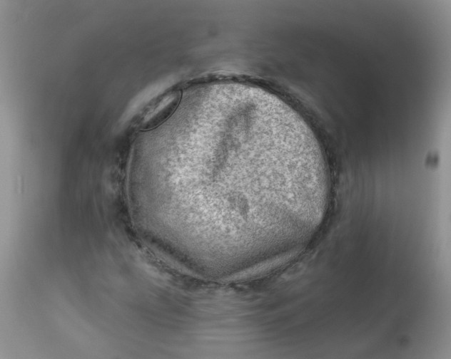 X0000113571207200910091431