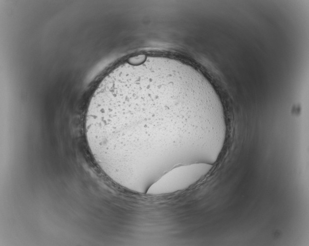 X0000113571208200910091431