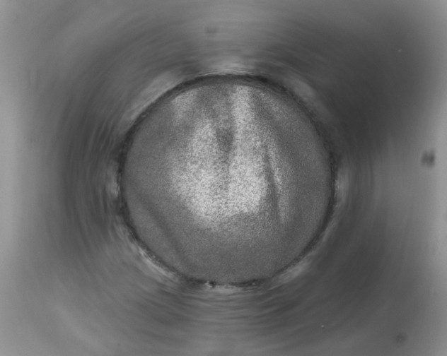 X0000113571209200910091431