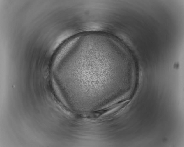 X0000113571210200910091431