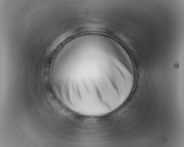 X0000113571211200910091431