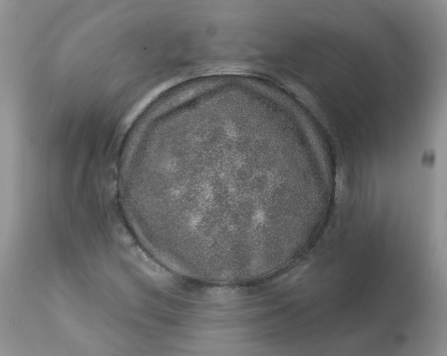 X0000113571212200910091431