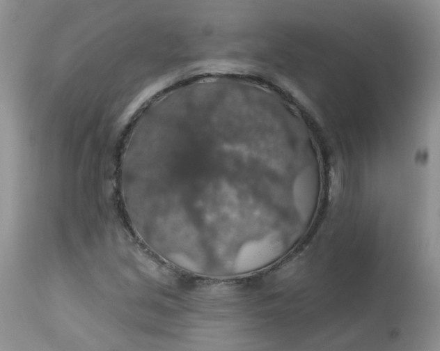 X0000113571213200910091431