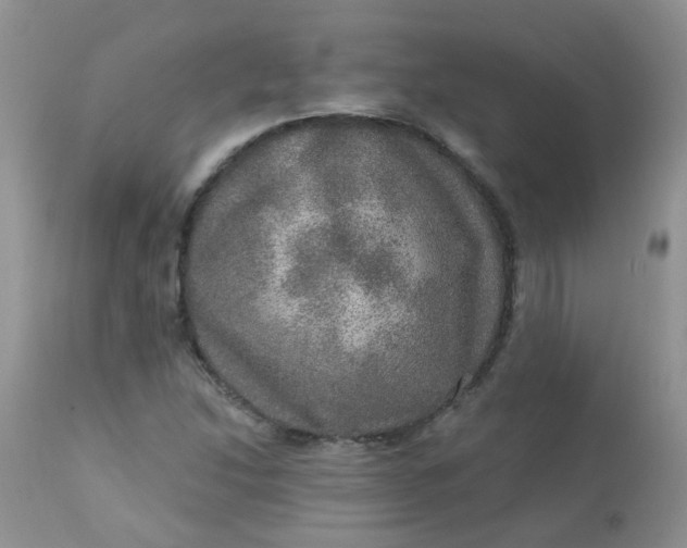 X0000113571214200910091431