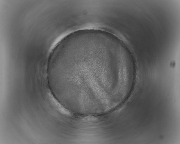 X0000113571216200910091431