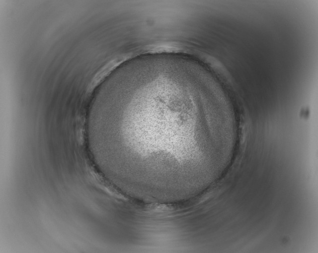 X0000113571217200910091431