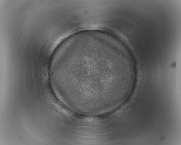 X0000113571218200910091431