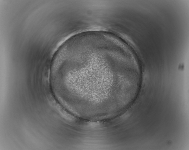 X0000113571220200910091431