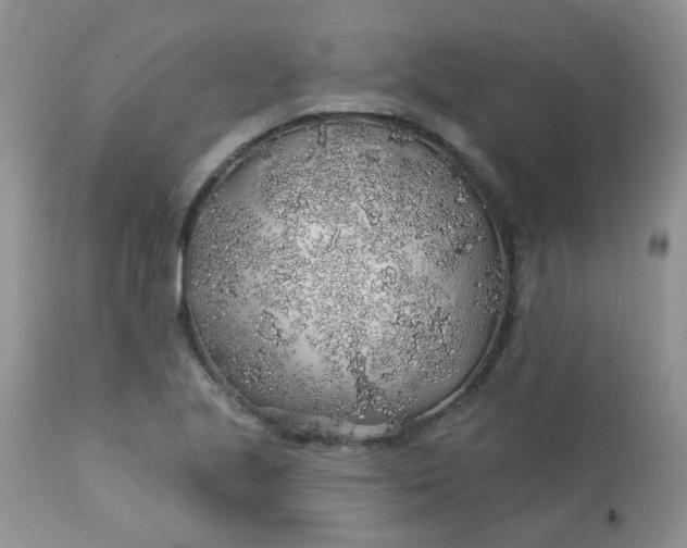 X0000113571221200910091431