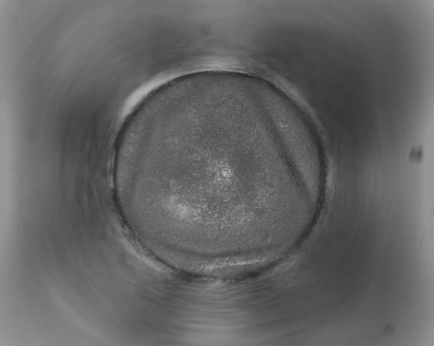 X0000113571222200910091431